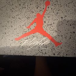 Jordan 4 Bred Reimagined 