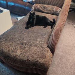 Let's Try This Again 