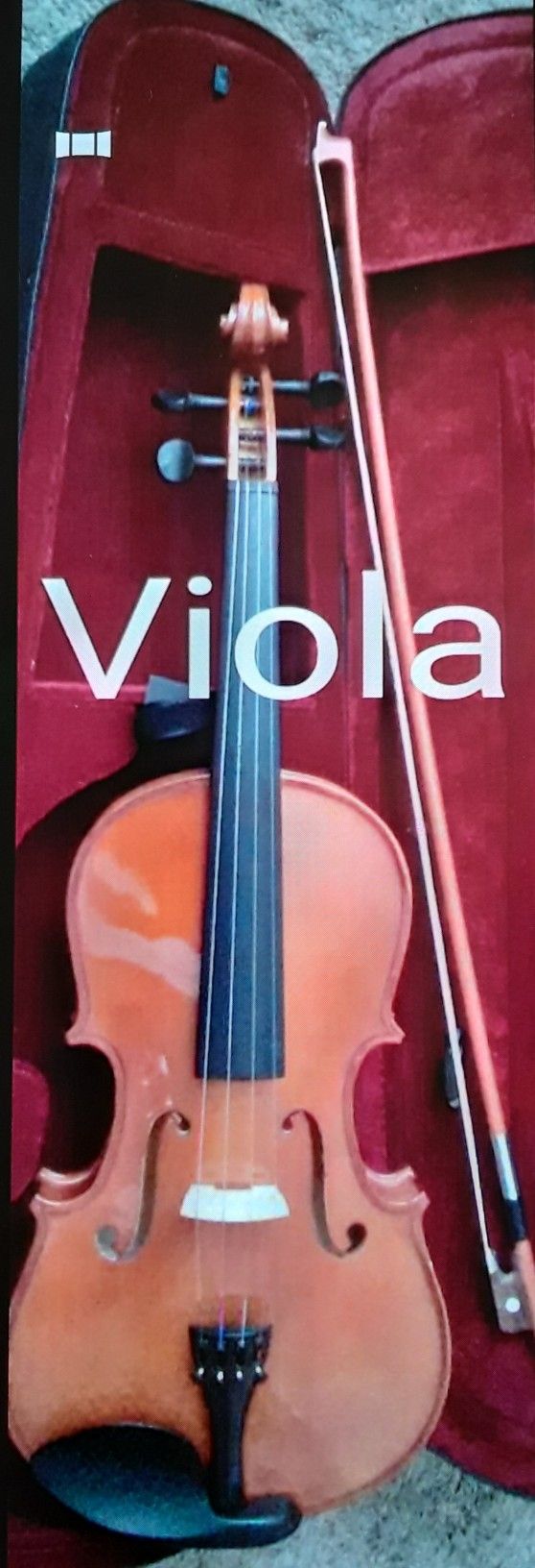 Brand New Viola