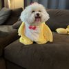 Shiloh Suman