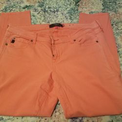 Size 18 Torrid Denim