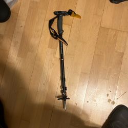 Whippit Black Diamond Ski Pole