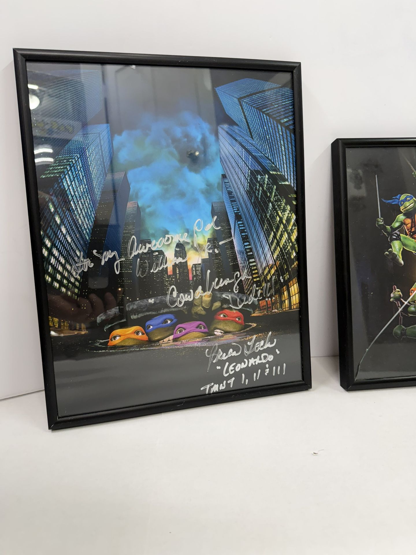 Ninja Turtles Signed Frames