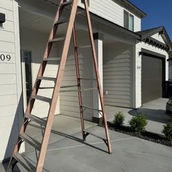 Ladder 12ft