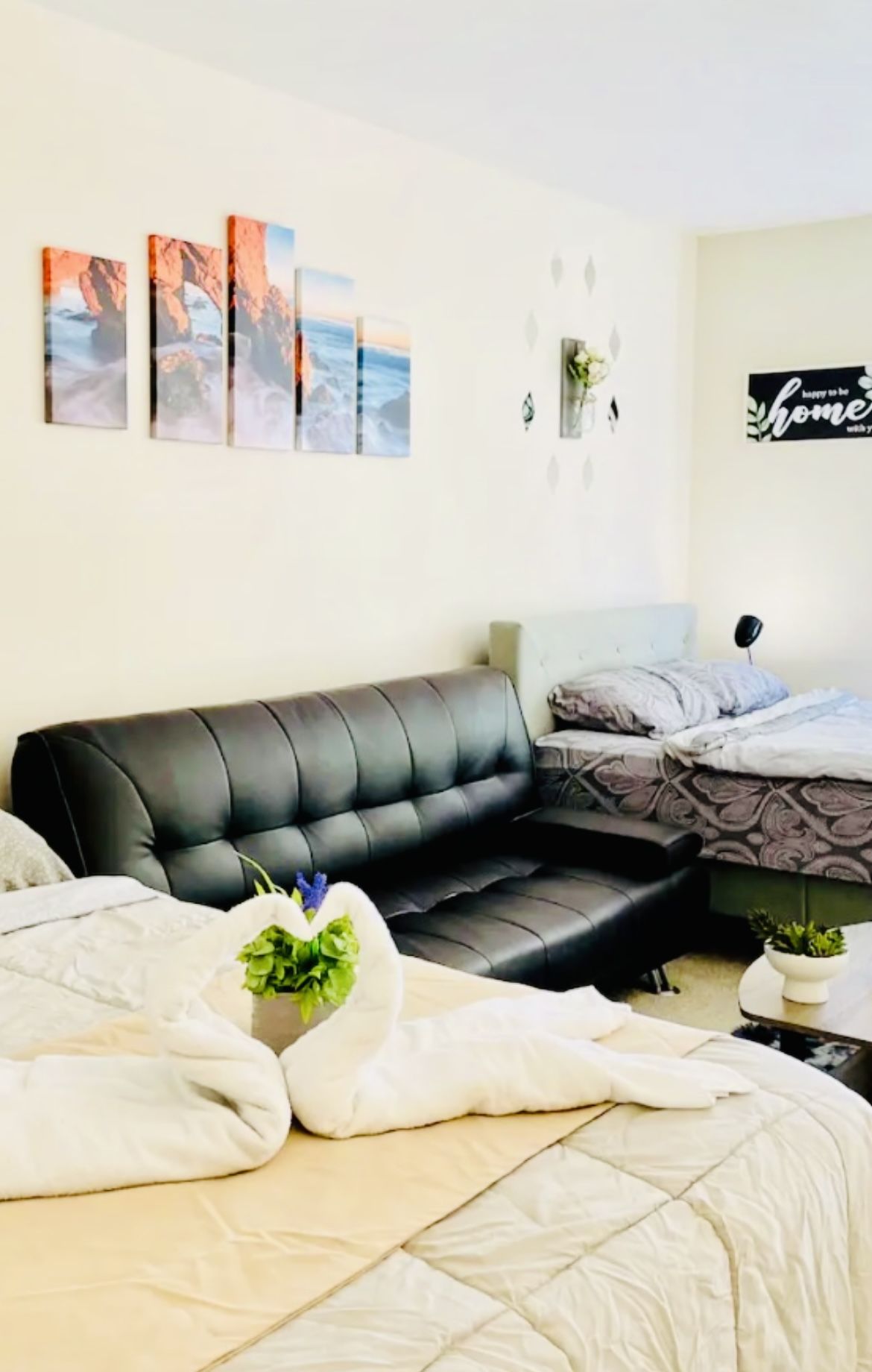 Beautiful Black Couch
