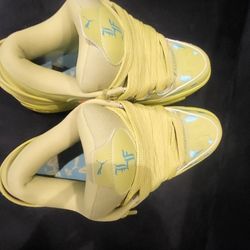 LaFrancé Heatmap puma