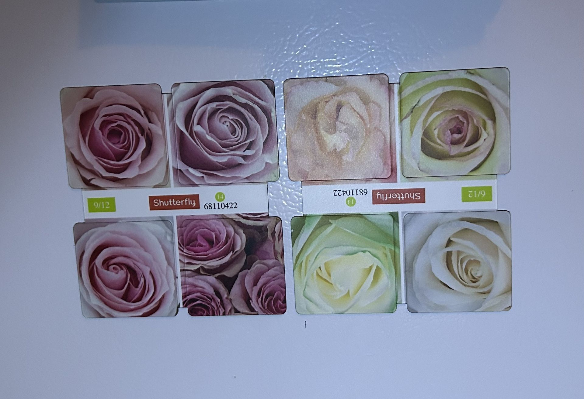 Floral photographic magnets 2X2 2 for $4