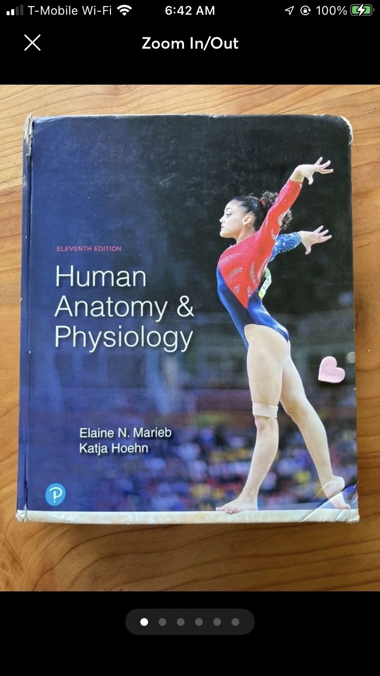 Human anatomy and physiology Pearson 11th Edition By Marieb