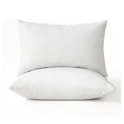 Pillow Inserts