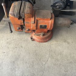 Vice 5”