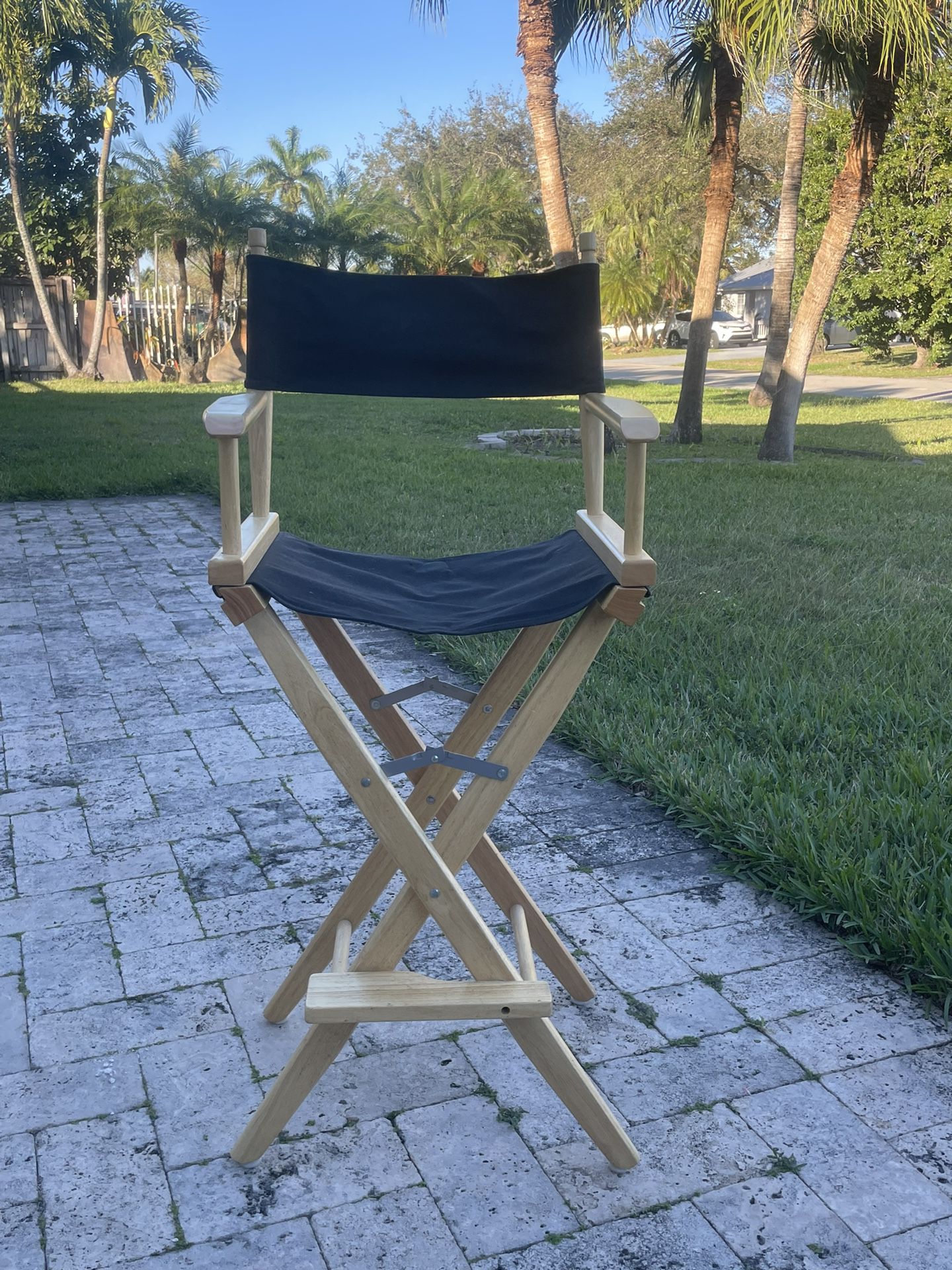 Director Studio Chair GREAT For Make Up Chair 