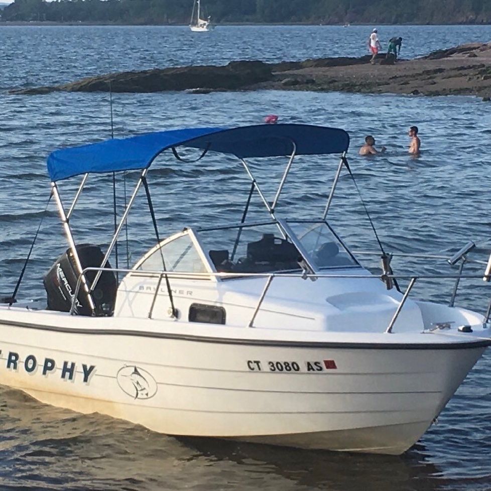 1996 bayliner trophy 1802