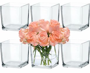 CONNOO 6 Pack 5" x 5" x 5" Clear Square Glass Vase