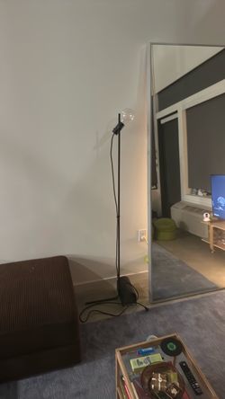 Black Minimalist Floor Lamp with Globe Bulb