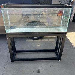Fish Tank 