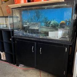 Fish Tank