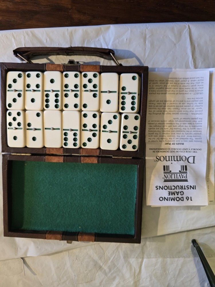 Dominoes Set Like New