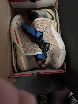 LeBron 2020 Animal Print 