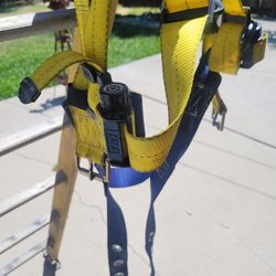 Fall Protection Harness