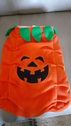 Pet Halloween costume