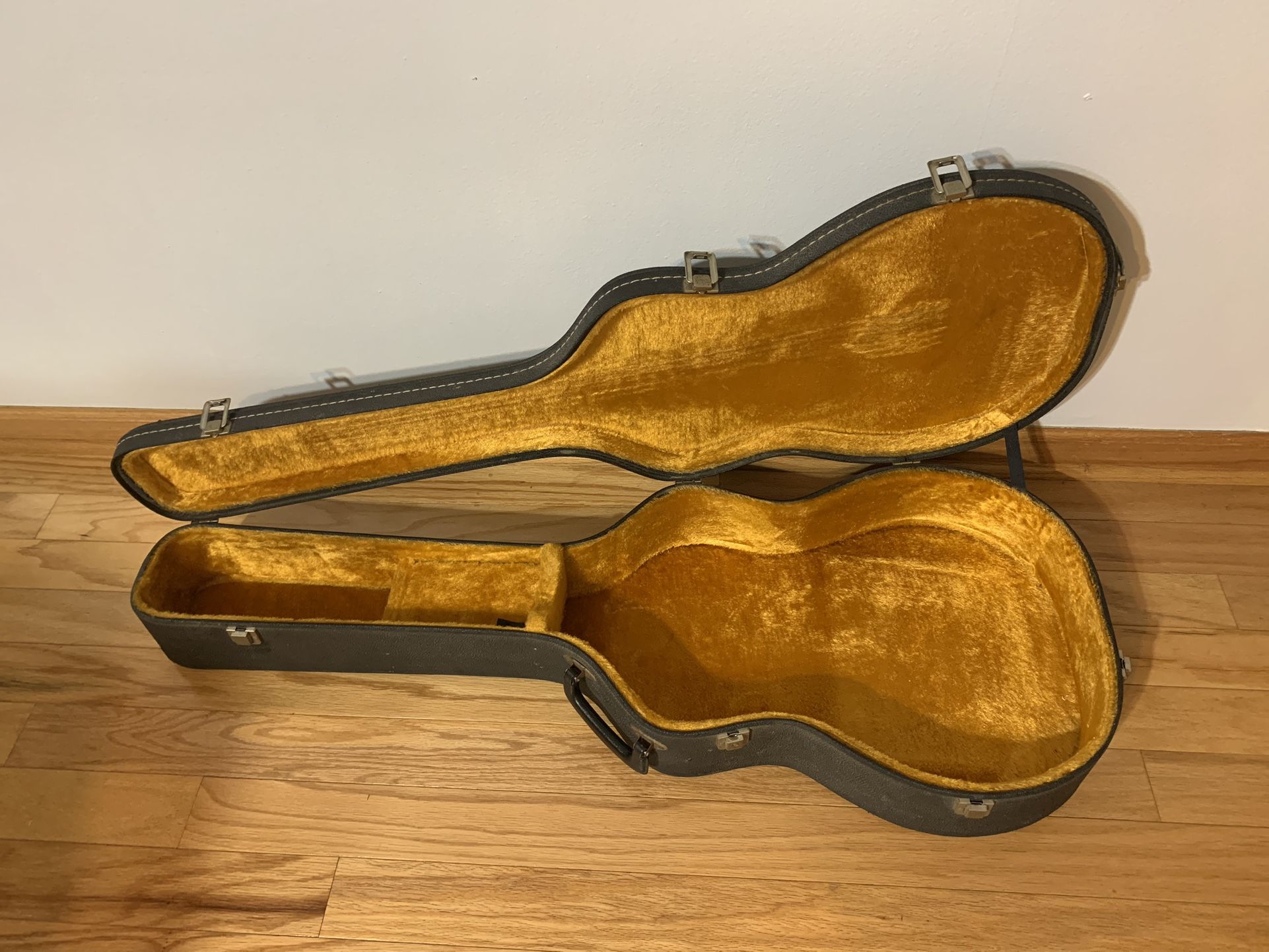 Hard Shell Guitar Case