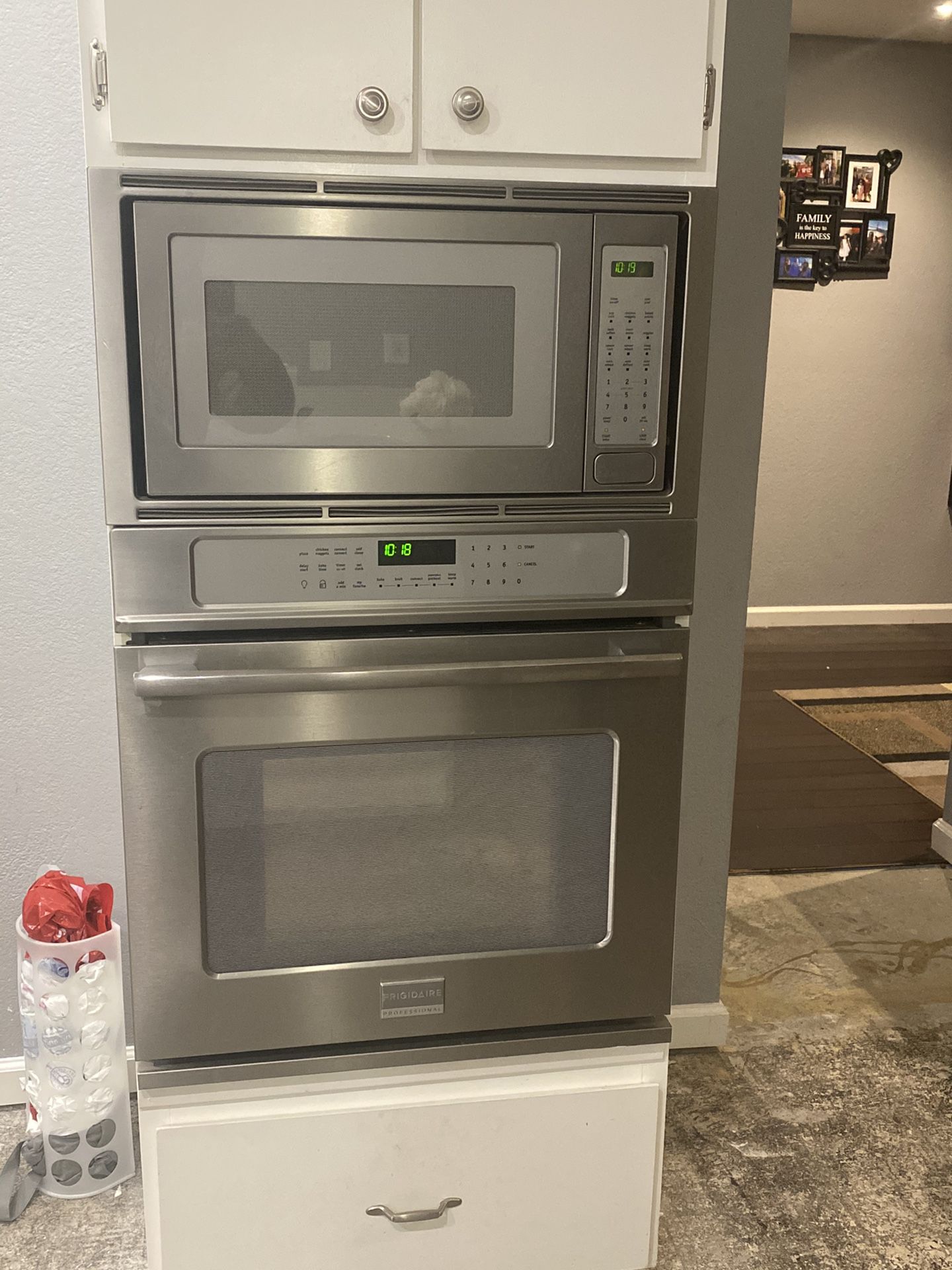 Frigidaire “Professional” Model Wall In Oven And Microwave
