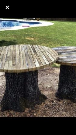 Tree Servise Any Trees We Take Care