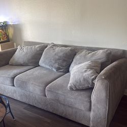 Couch and Love Seat