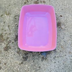 cat Litter Box