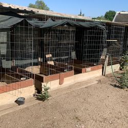 Cages