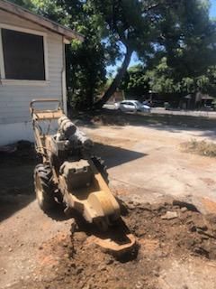 Stump Grinding