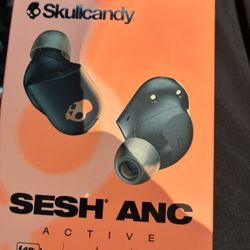 Skull Candy Ear Buds