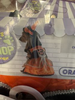 Halloween costume pet orange witch