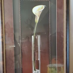 Beautiful Framed Artwork
