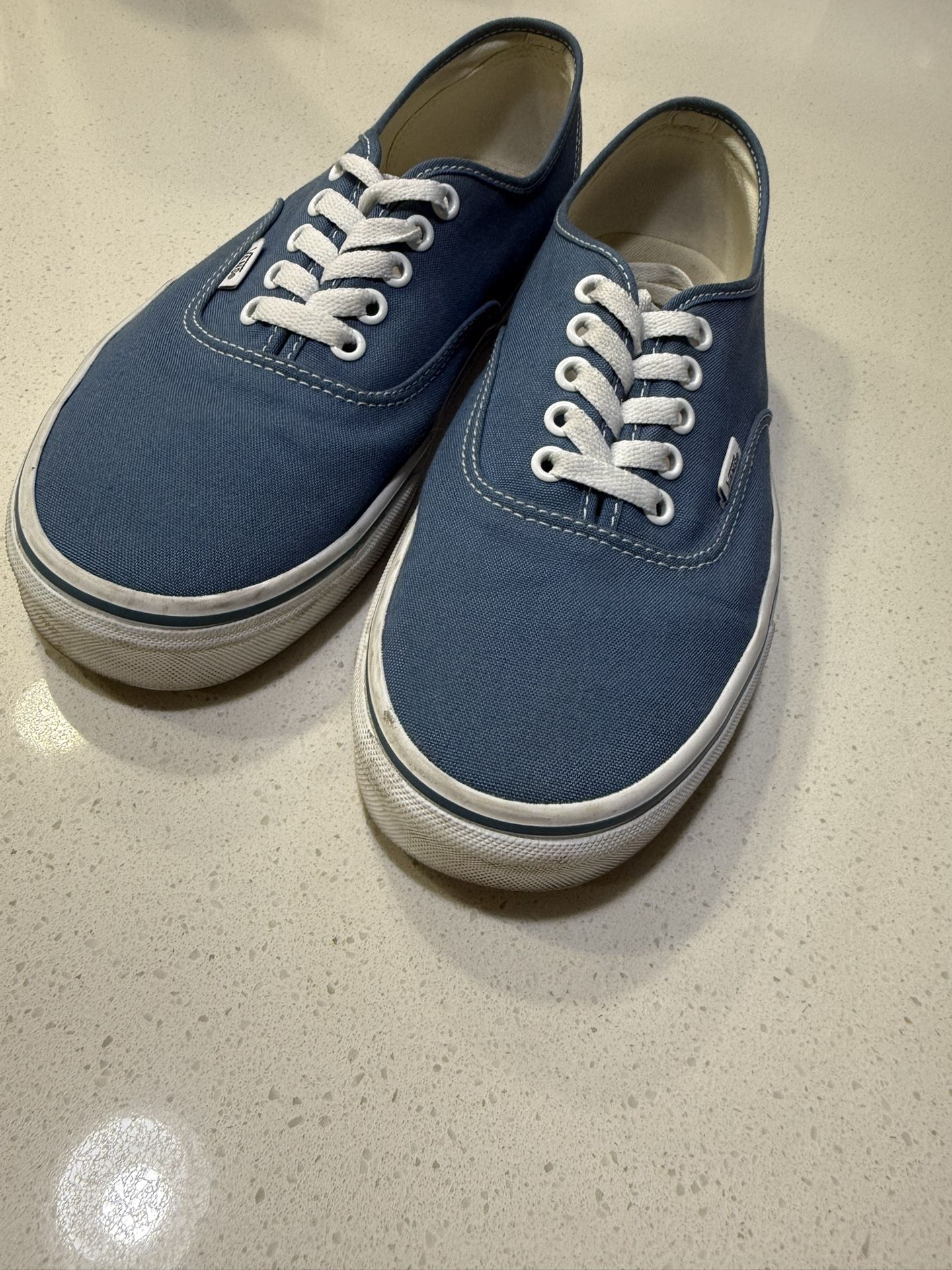 Mens Vans Blue Shoes