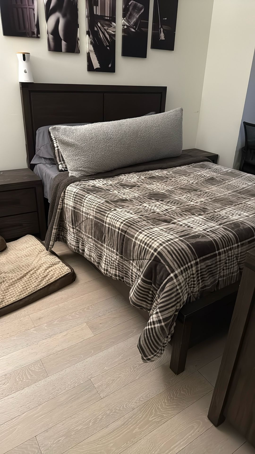 Queen Bed Along With Box Spring (No Mattress For Sale)