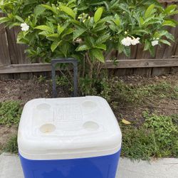 IGLOO Large Cooler On Rollers With Handle 