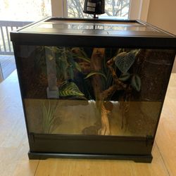Terrarium, Aquarium, Tank, Enclosure