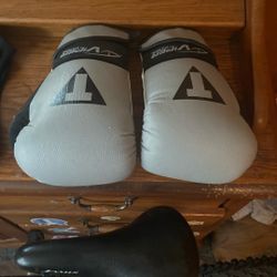 Title Viper Boxing Training Gloves And Hand Wraps