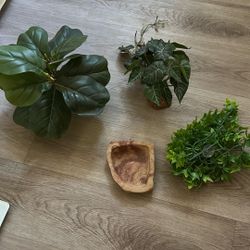 Artificial Plants For Reptile Cage