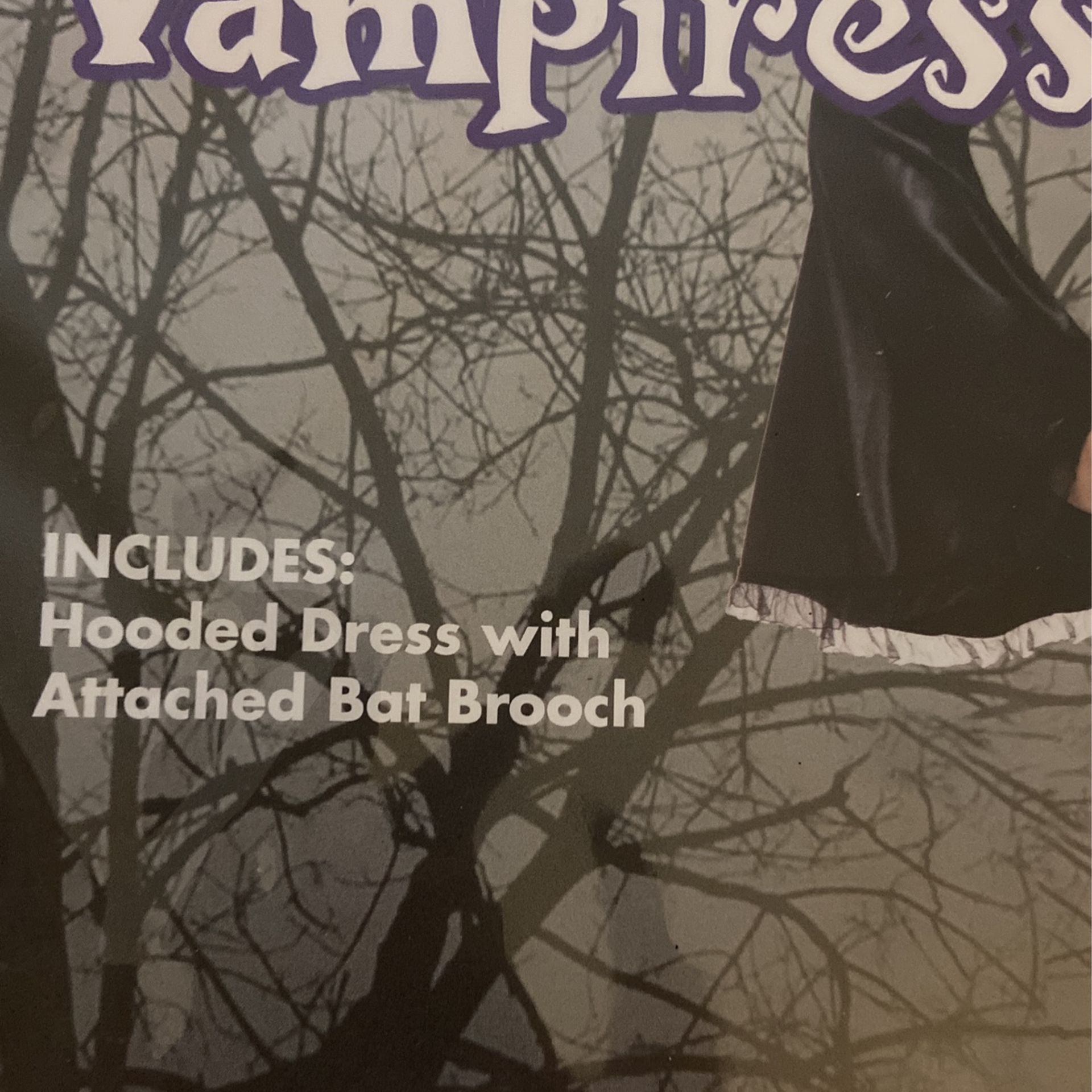 Bat Vampire Costume