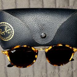 Ray Ban Polarized Erika 4171 Sunglasses 