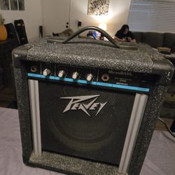 Peavy 20 Watt Micro BASS  Amplifier