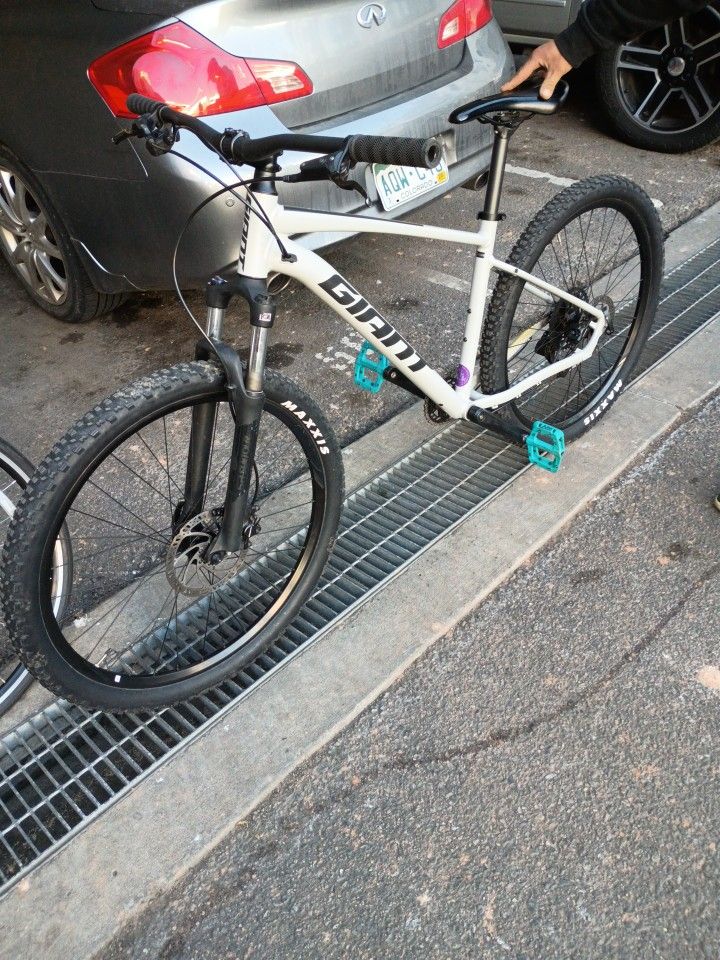 Giant Mountain Bike & Specialized
