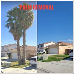 Stum Grinding Message