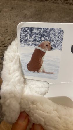 By Ugg Dog  Suede Sherpa L