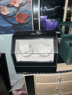 Watch winder case