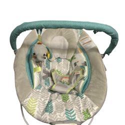 Baby Bouncer