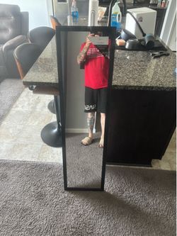 Door Mirror