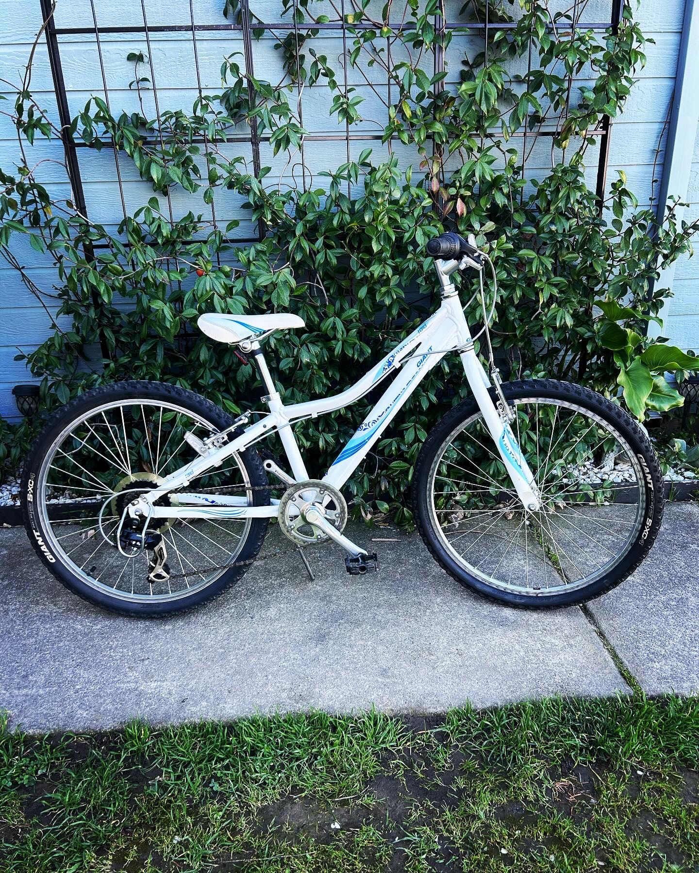 GIANT REVEL YOUTH MOUNTAIN BIKE 24” Wheels
